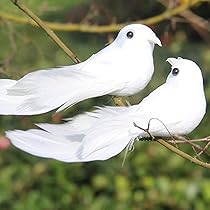 鳥の置物 61ozXVy1qFL._UF350,350_QL50_.jpg